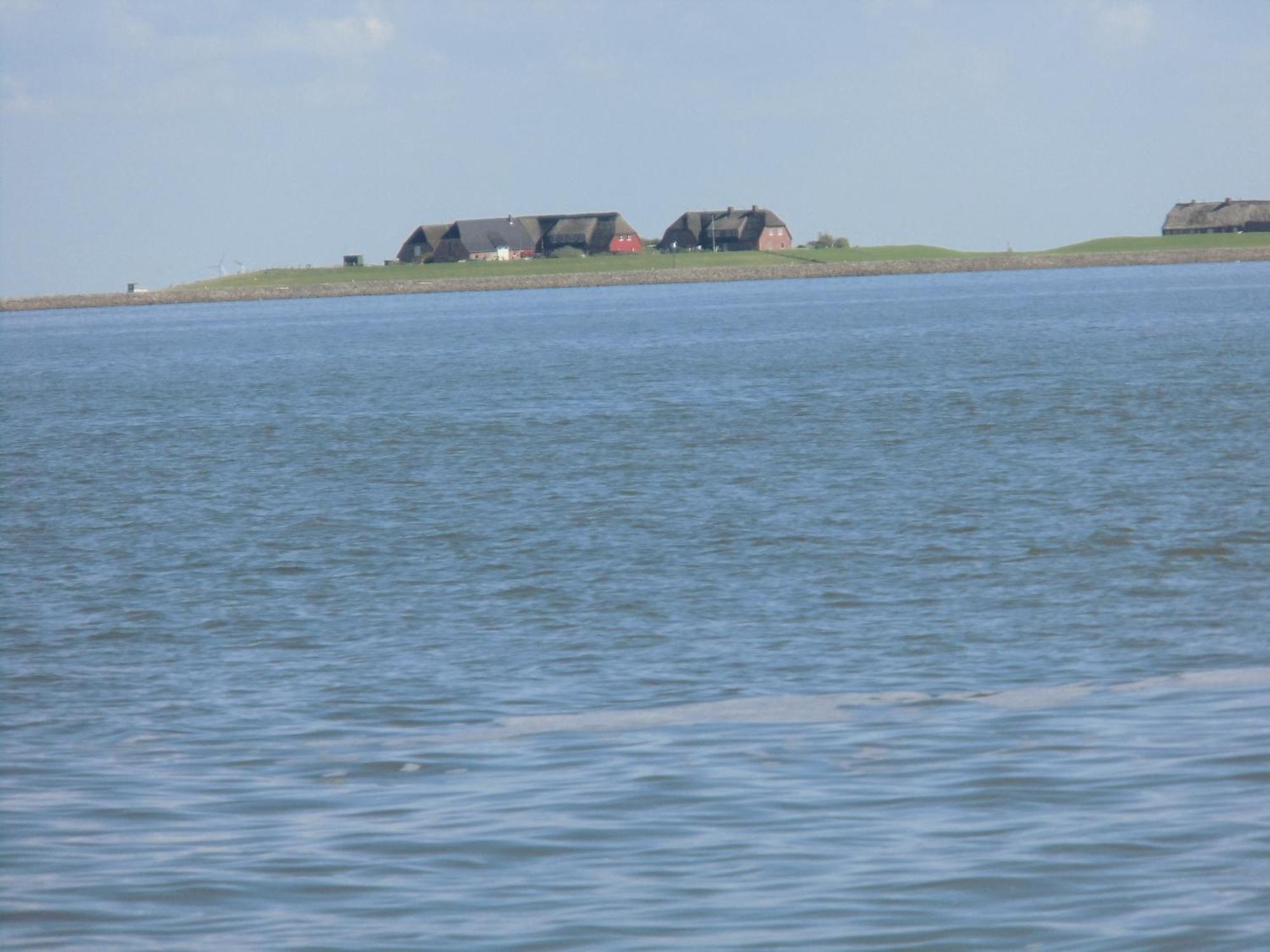Friesenhaus Am Meer Dagebüll Exteriör bild
