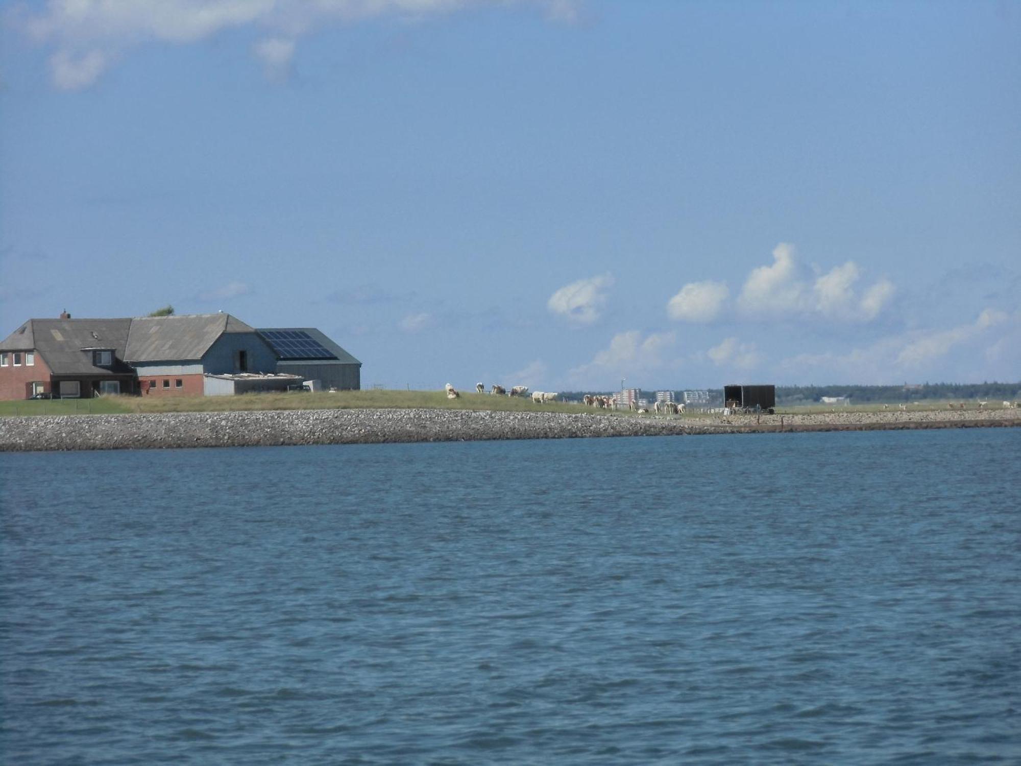 Friesenhaus Am Meer Dagebüll Exteriör bild